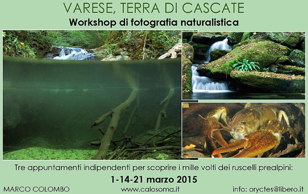 Workshop sulle cascate prealpine